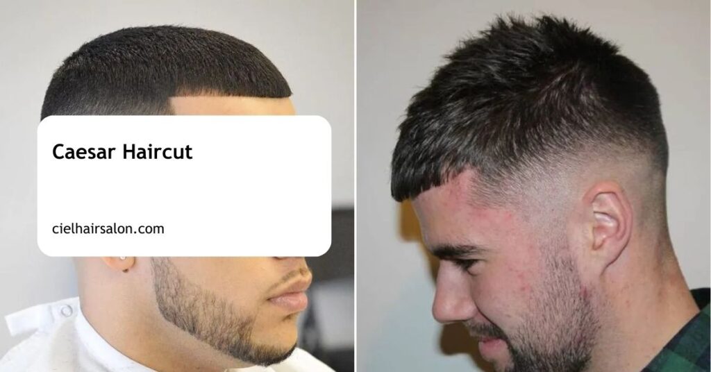 Caesar Haircut