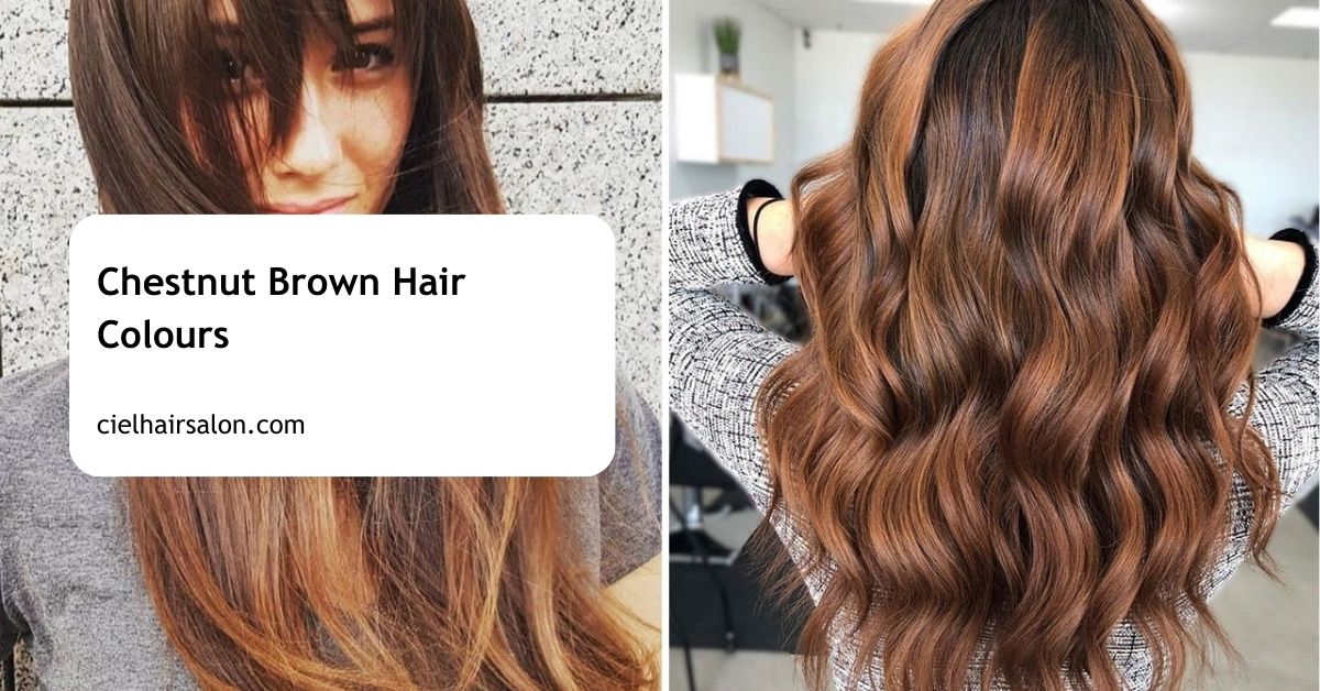 Chestnut Brown Hair Colours