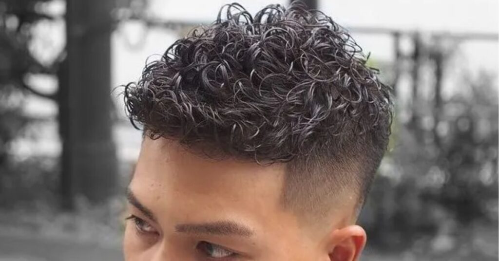 Faded Sides with Curly Top