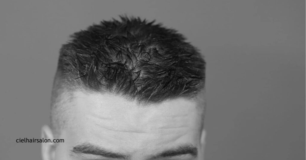 The Crew Cut